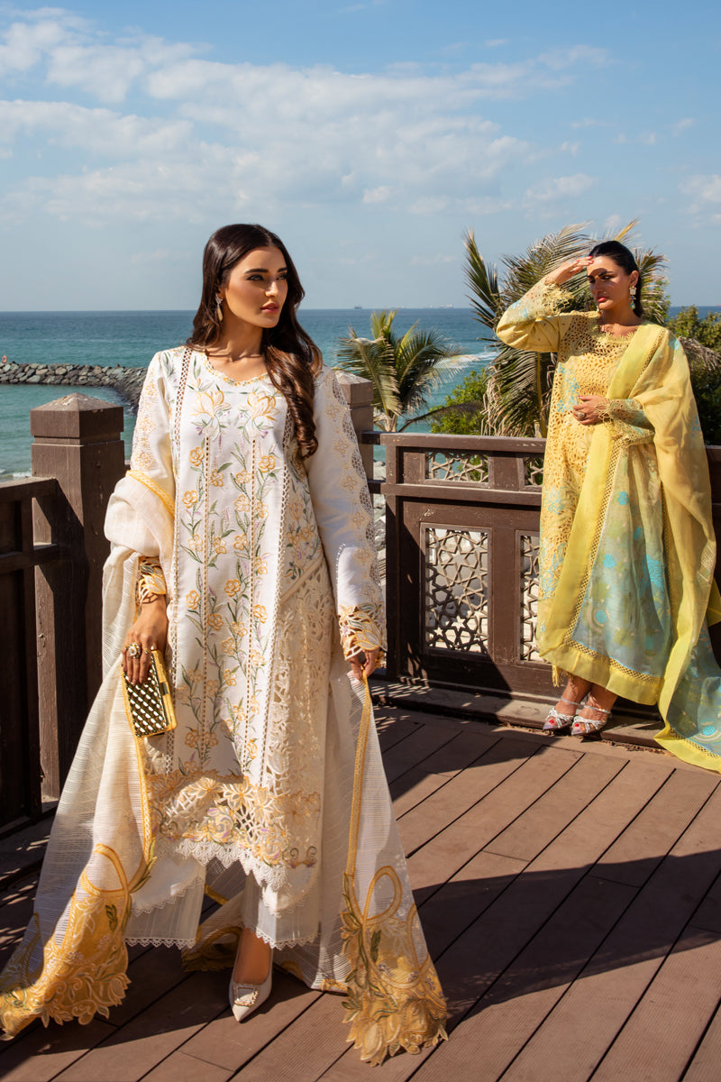 Rangrasiya | Premium Summer Lawn 25 | Nooreh