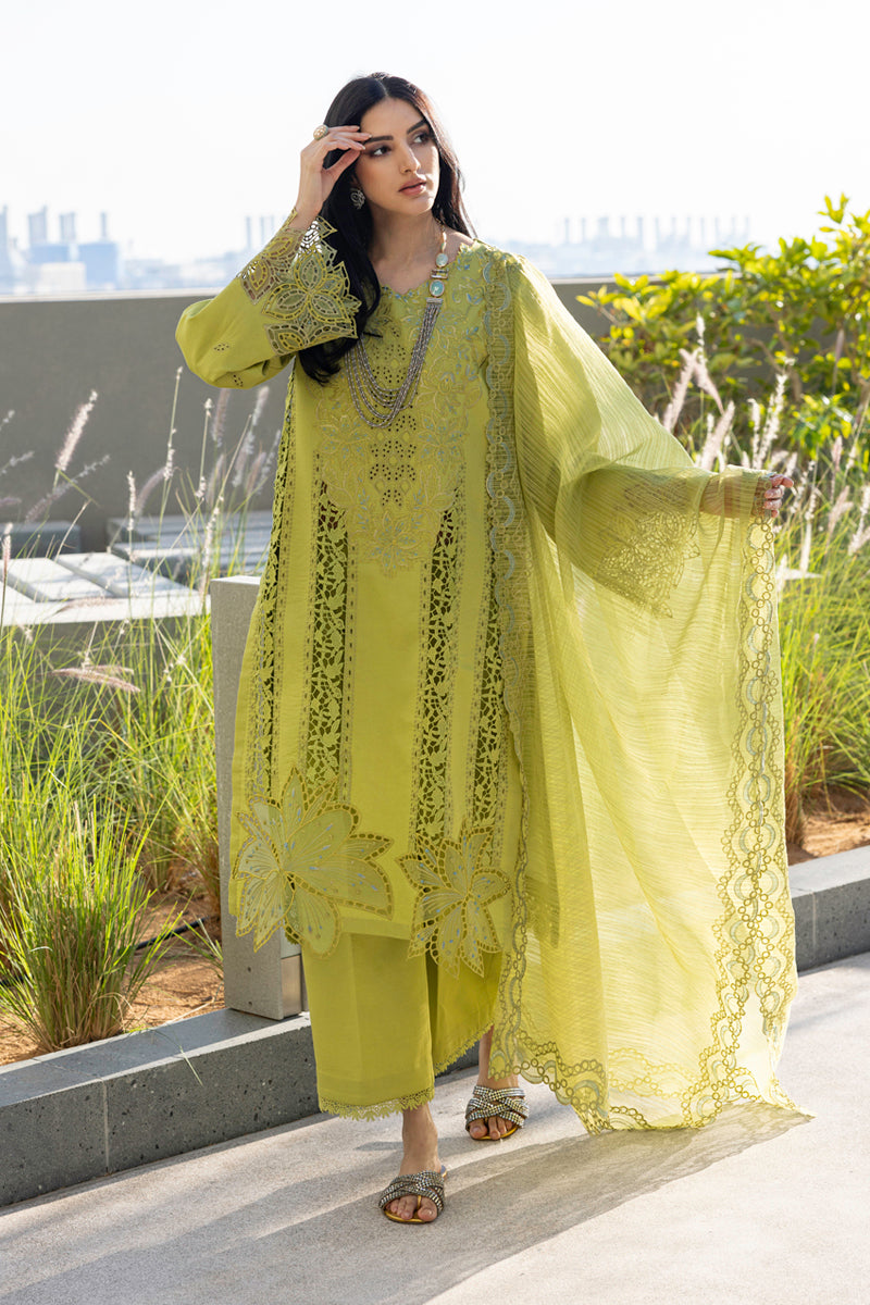 Rangrasiya | Carnation Summer Edit 25 | Aaleen