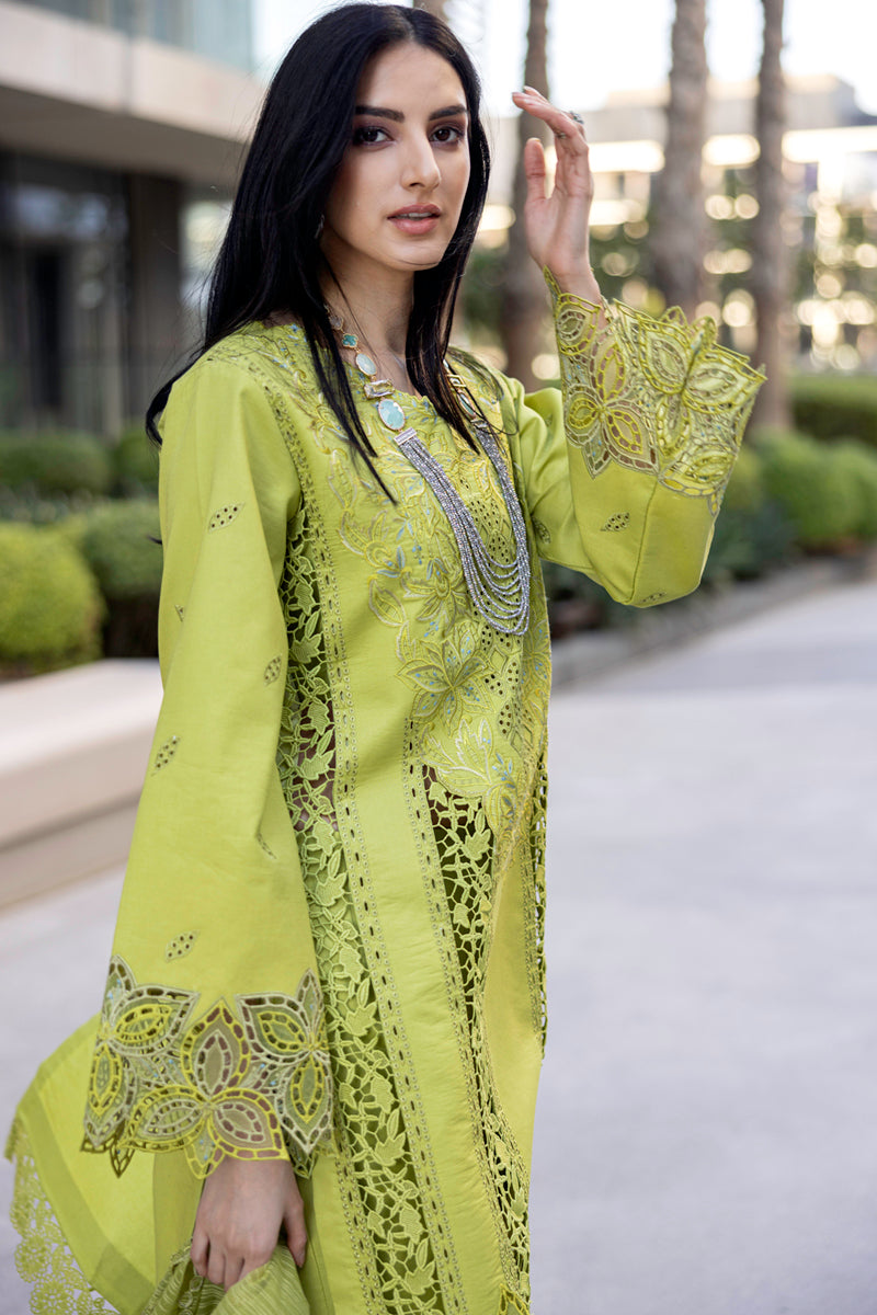 Rangrasiya | Carnation Summer Edit 25 | Aaleen