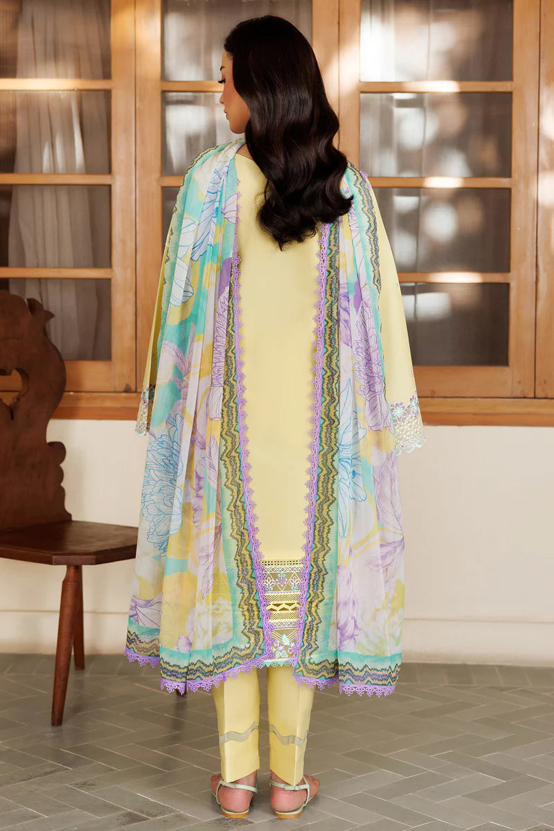 Farasha |Summer weaves | Daisy Dreams