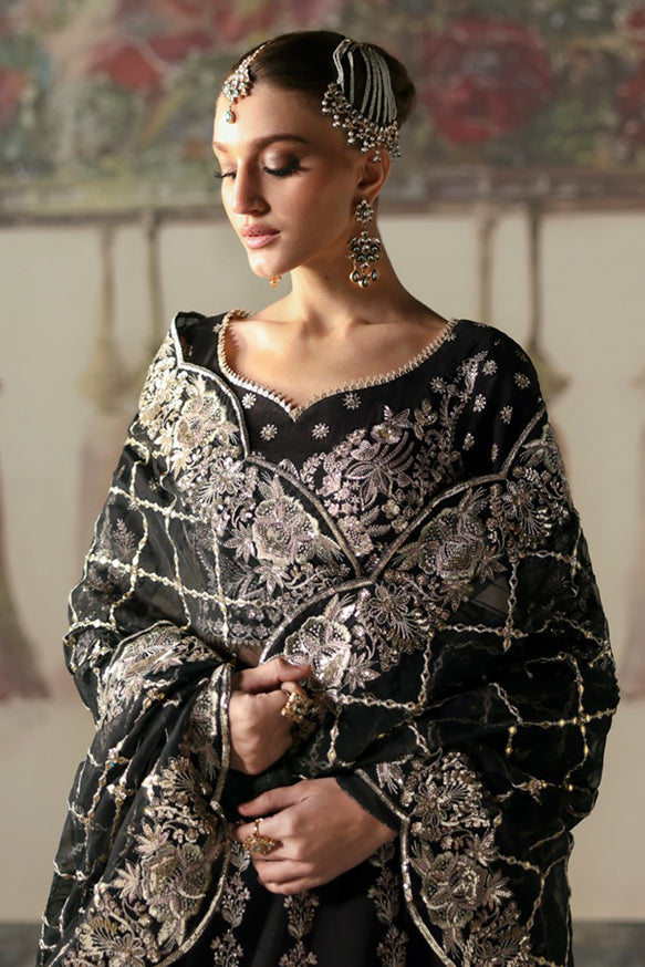 Afrozeh | Divani Silk Edit 25 | Husnara