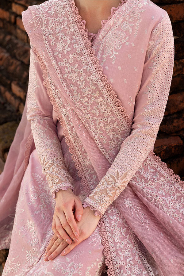 Saffron | Solace Winter Edit | Daphne