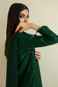 BAROQUE - EMBROIDERED NET CH09-07 (Copy)