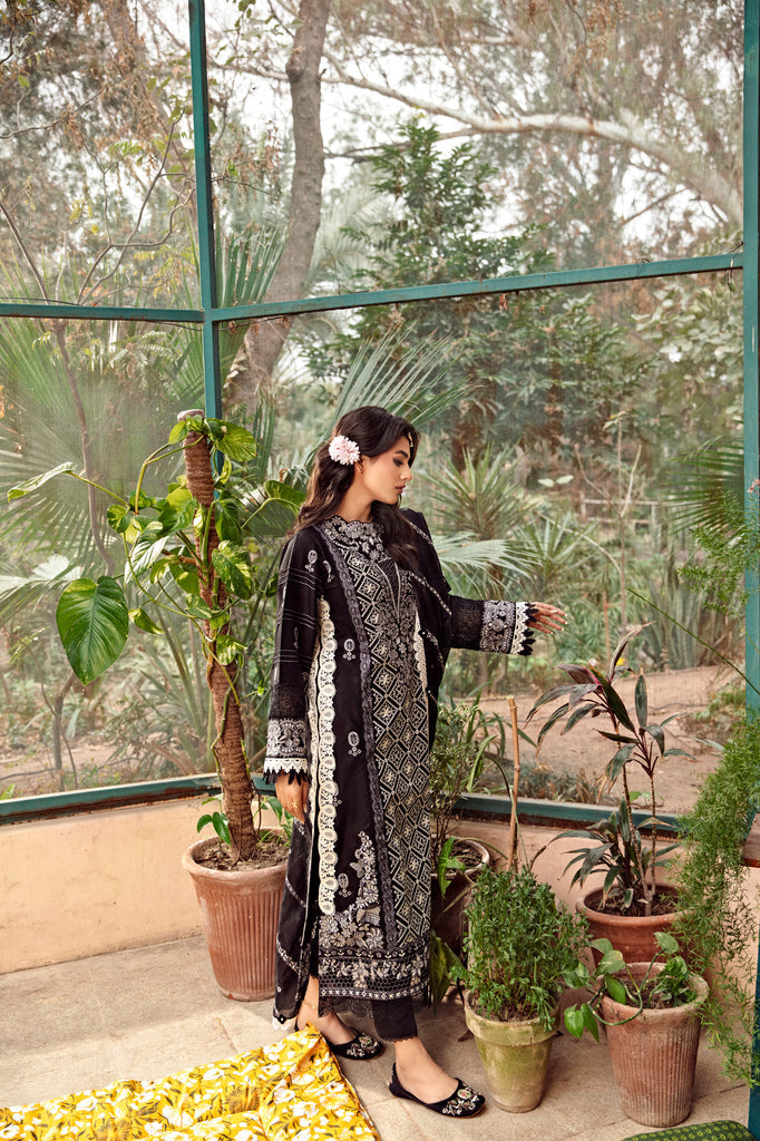 Florent | Luxury Lawn 24 | FFL-6A
