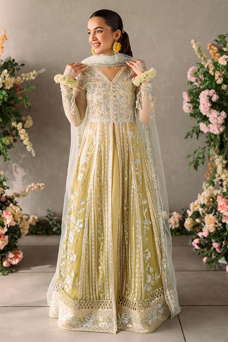 Mushq | Matani Evening Luxury Chiffon | Hira
