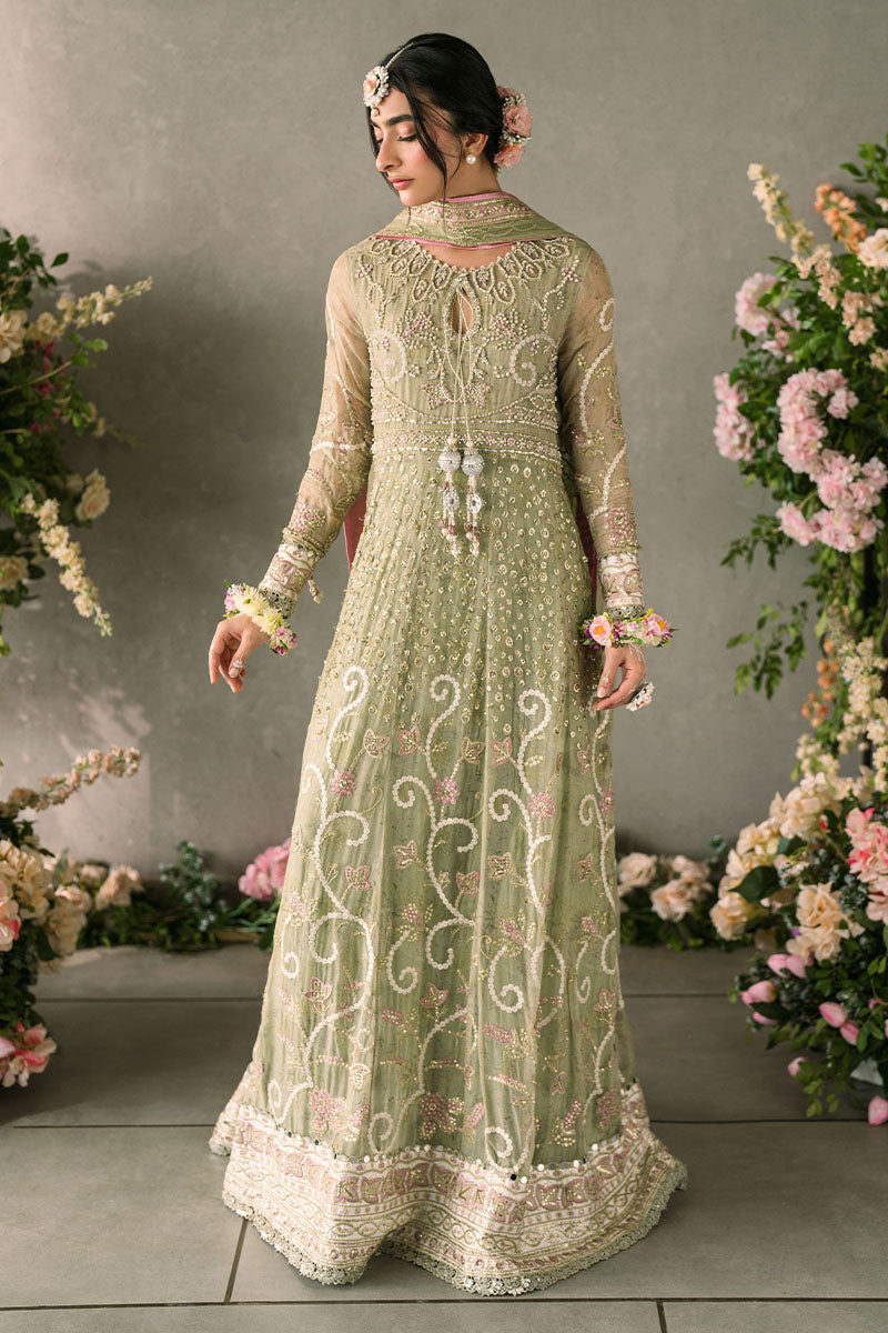 Mushq | Matani Evening Luxury Chiffon | Namar