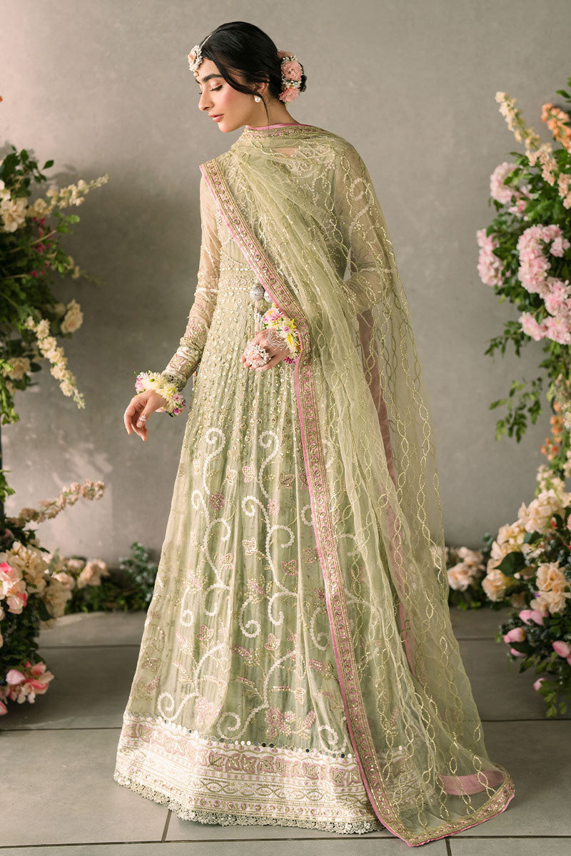 Mushq | Matani Evening Luxury Chiffon | Namar
