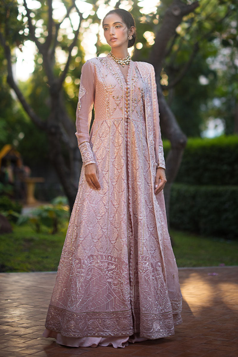 Mushq | Roohi Luxury Collection | AANYA