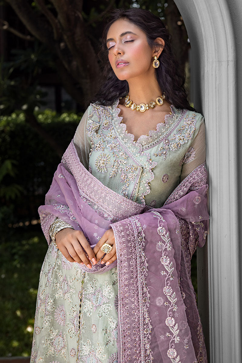 Mushq | Roohi Luxury Collection | AARA