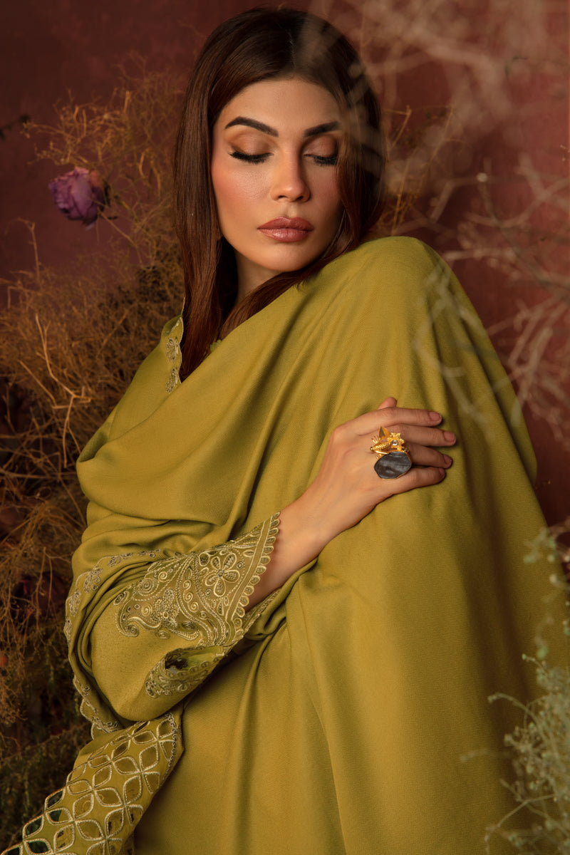 Rangrasiya | Premium Winter Edit 24 | Cardamom