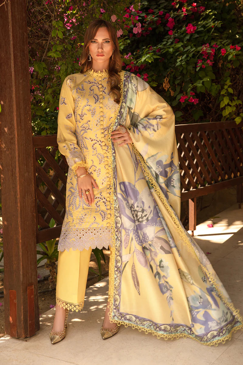 Rangrasiya | Carnation Summer 24 | Iris