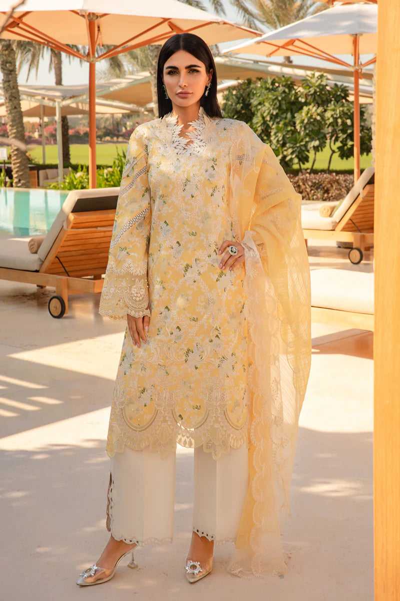Rangrasiya | Carnation Summer 24 | Ariana
