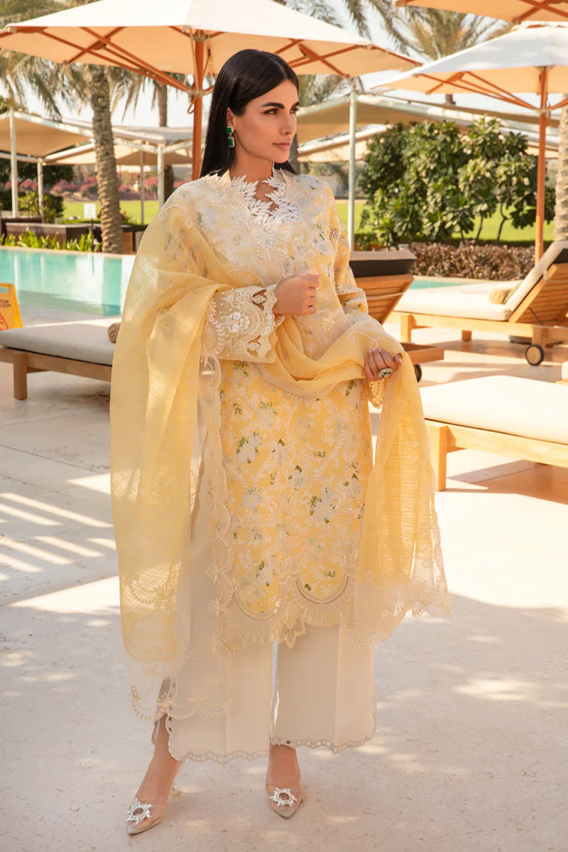Rangrasiya | Carnation Summer 24 | Ariana
