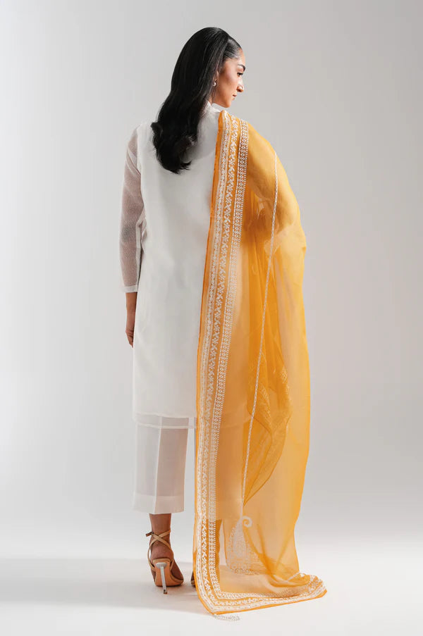 Zeen | Eid ul Adha | EMBROIDERED SUIT