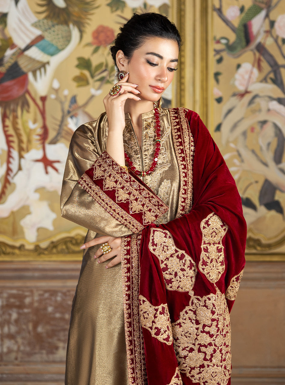 Zainab Chottani | Velvet Formals 24 | Zerlin