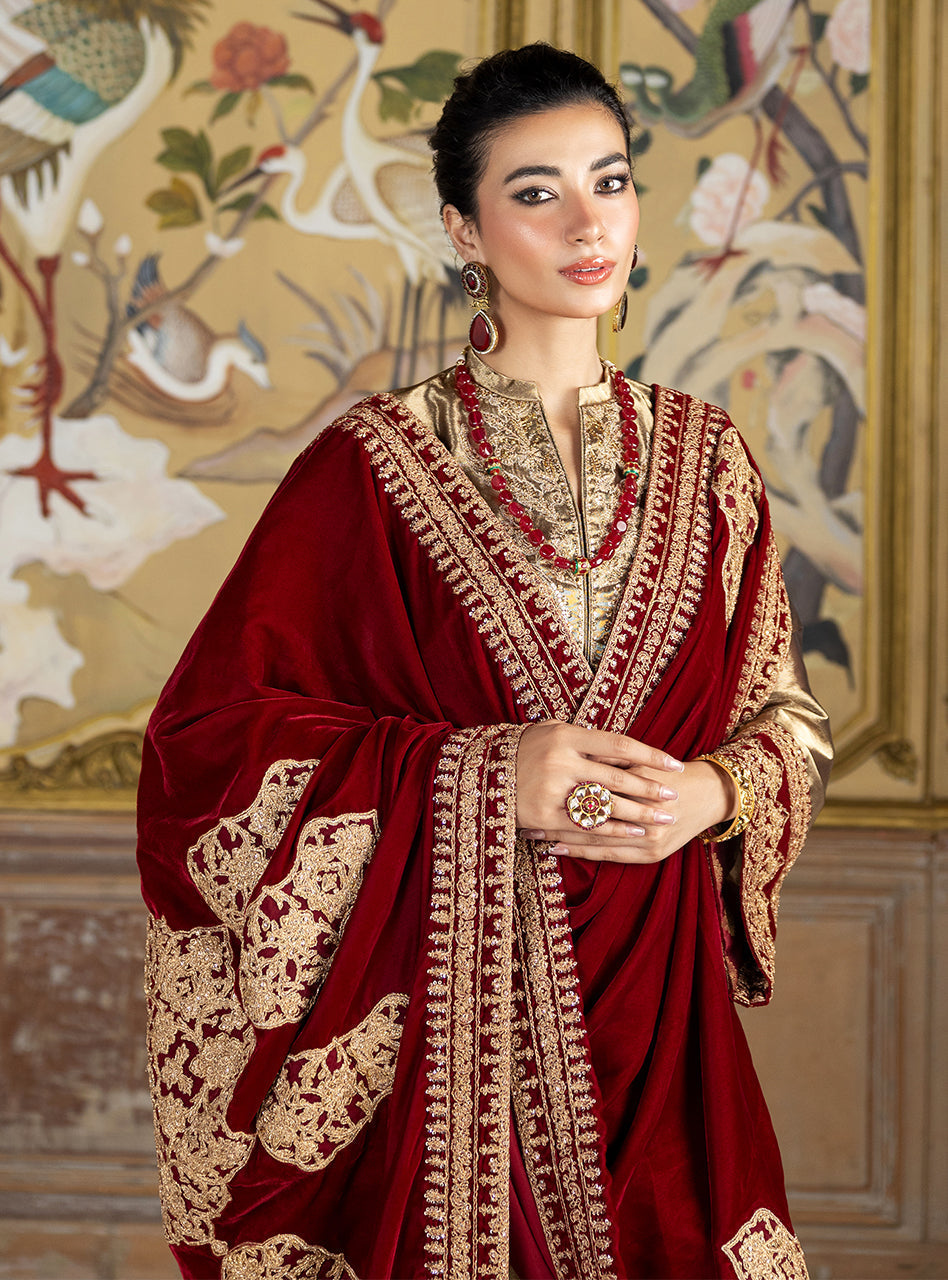 Zainab Chottani | Velvet Formals 24 | Zerlin