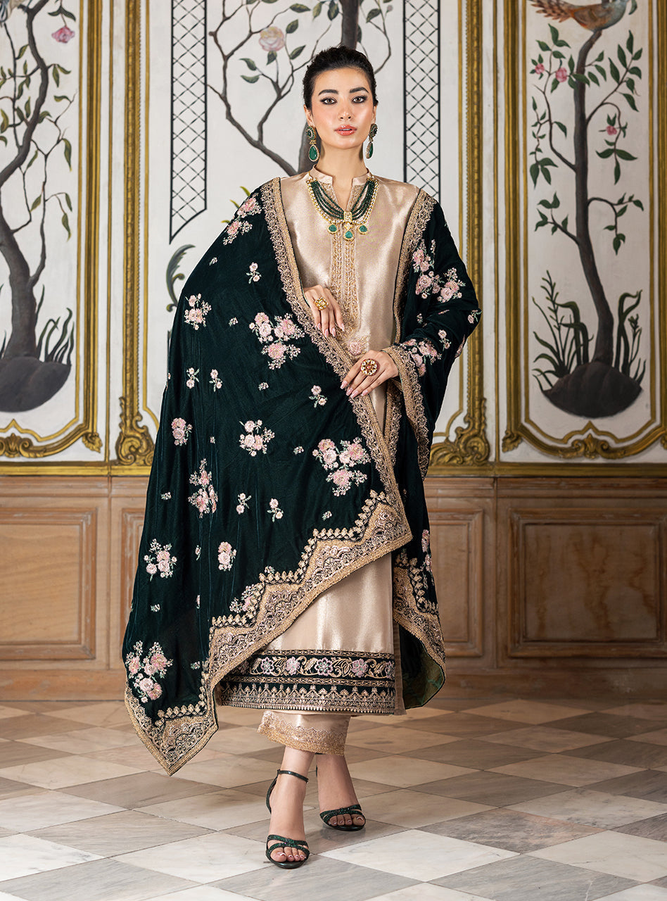 Zainab Chottani | Velvet Formals 24 | Sarwana