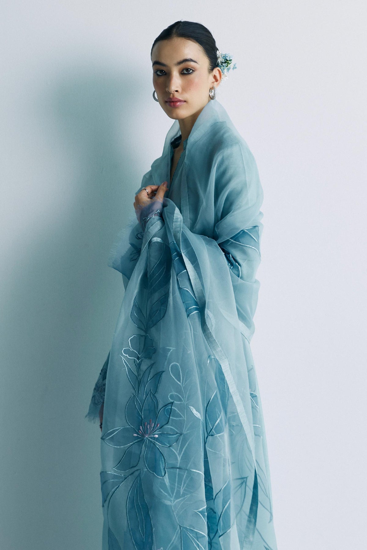 Zara Shahjahan | Festive Eid 24 | ZC-2036