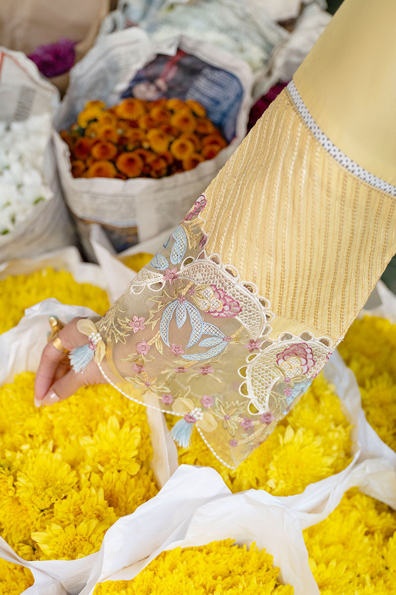 MUSHQ COLLECTION BA-897R - Riwayat-e-khas