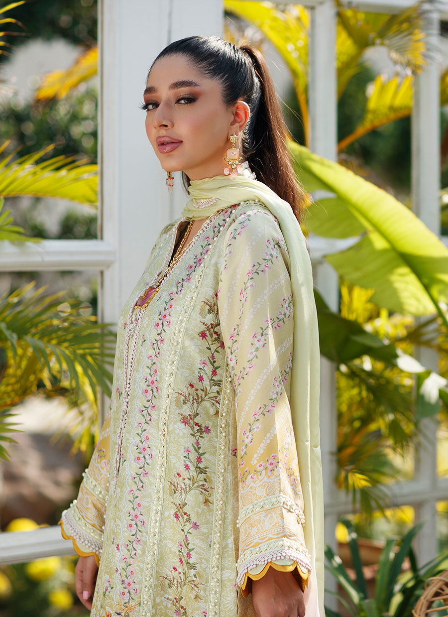 Farah Talib Aziz | Designer Picks 24 | JOLIE SHIRT AND DUPATTA