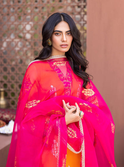 Zainab Chottani | Luxury Pret | NURAY