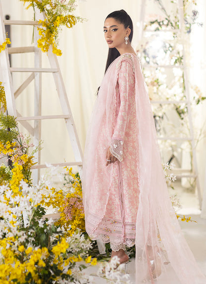Farah Talib Aziz | Designer Picks 24 | OLEA BLUSH SILK SHIRT AND PRE-DRAPED DUPATTA