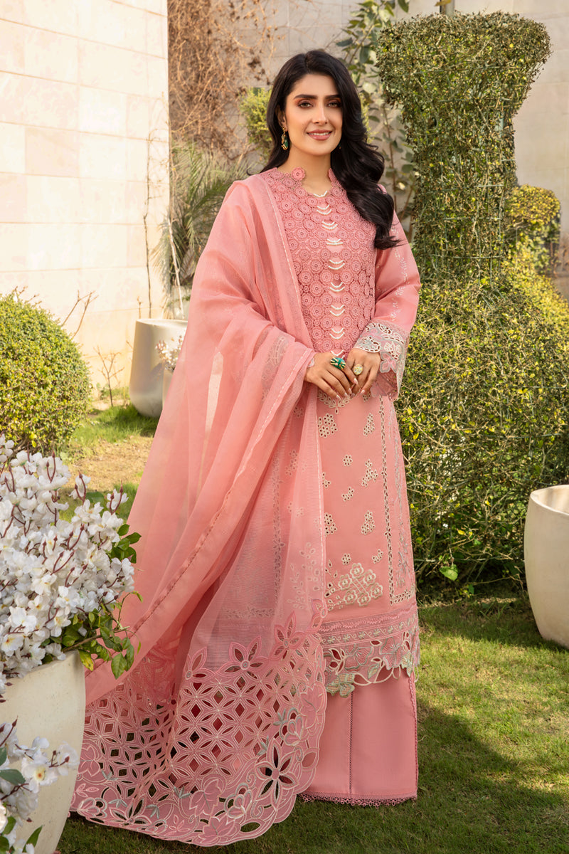 Rangrasiya | Premium Collection 24 | PARISA
