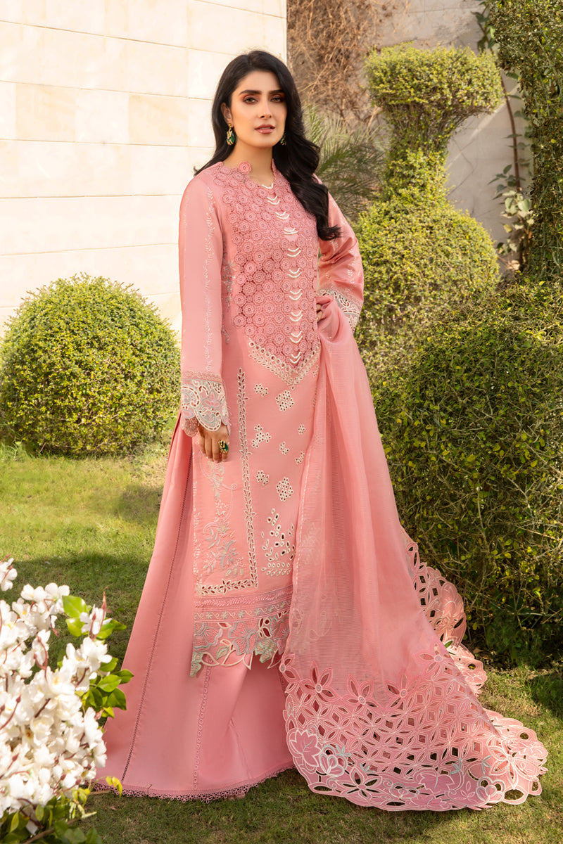 Rangrasiya | Premium Collection 24 | PARISA