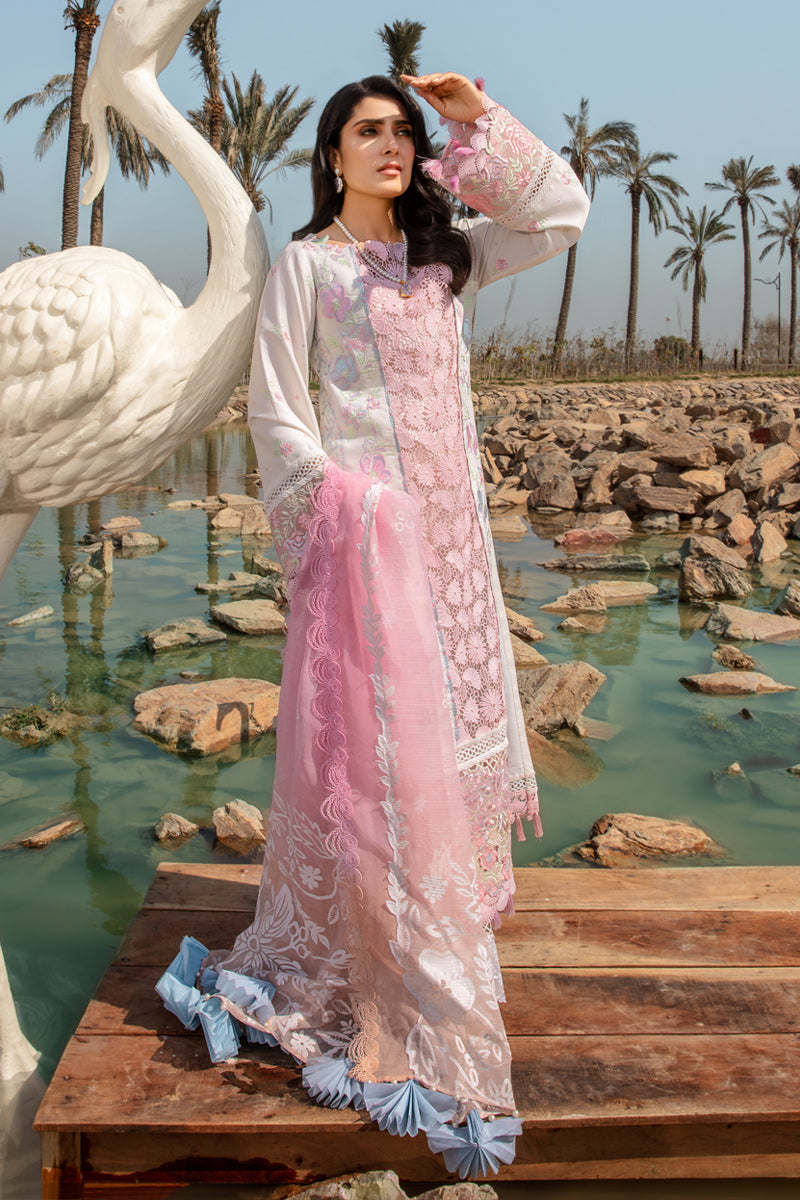 Rangrasiya | Premium Collection 24 | HOORIAN