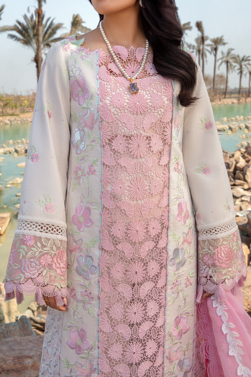 Rangrasiya | Premium Collection 24 | HOORIAN