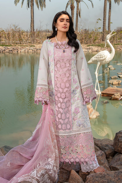 Rangrasiya | Premium Collection 24 | HOORIAN