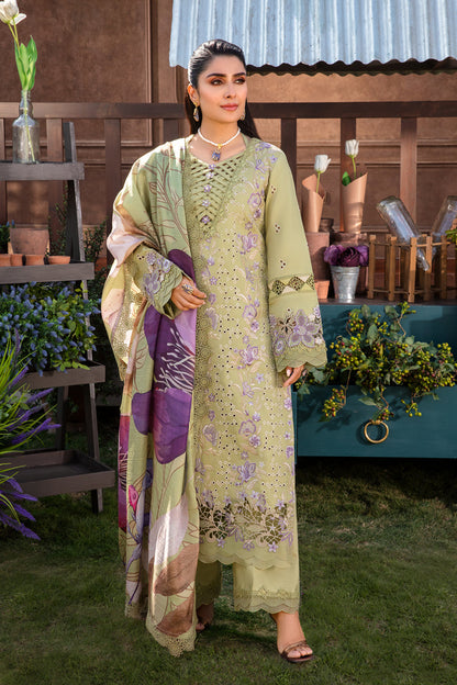 Rangrasiya | Premium Collection 24 | AYSEL