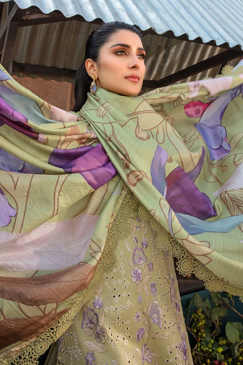 Rangrasiya | Premium Collection 24 | AYSEL