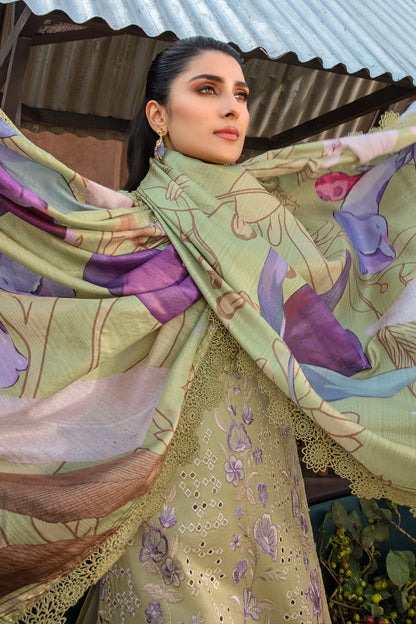 Rangrasiya | Premium Collection 24 | AYSEL