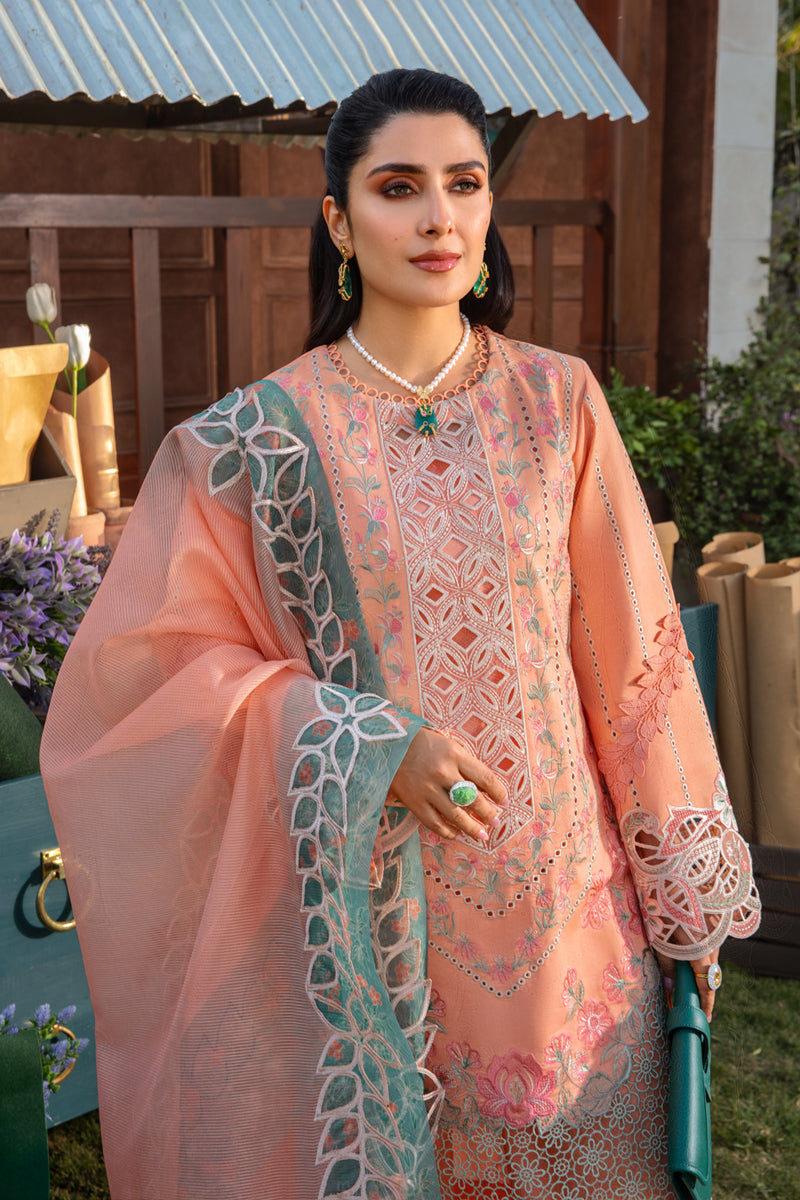 Rangrasiya | Premium Collection 24 | RANIA