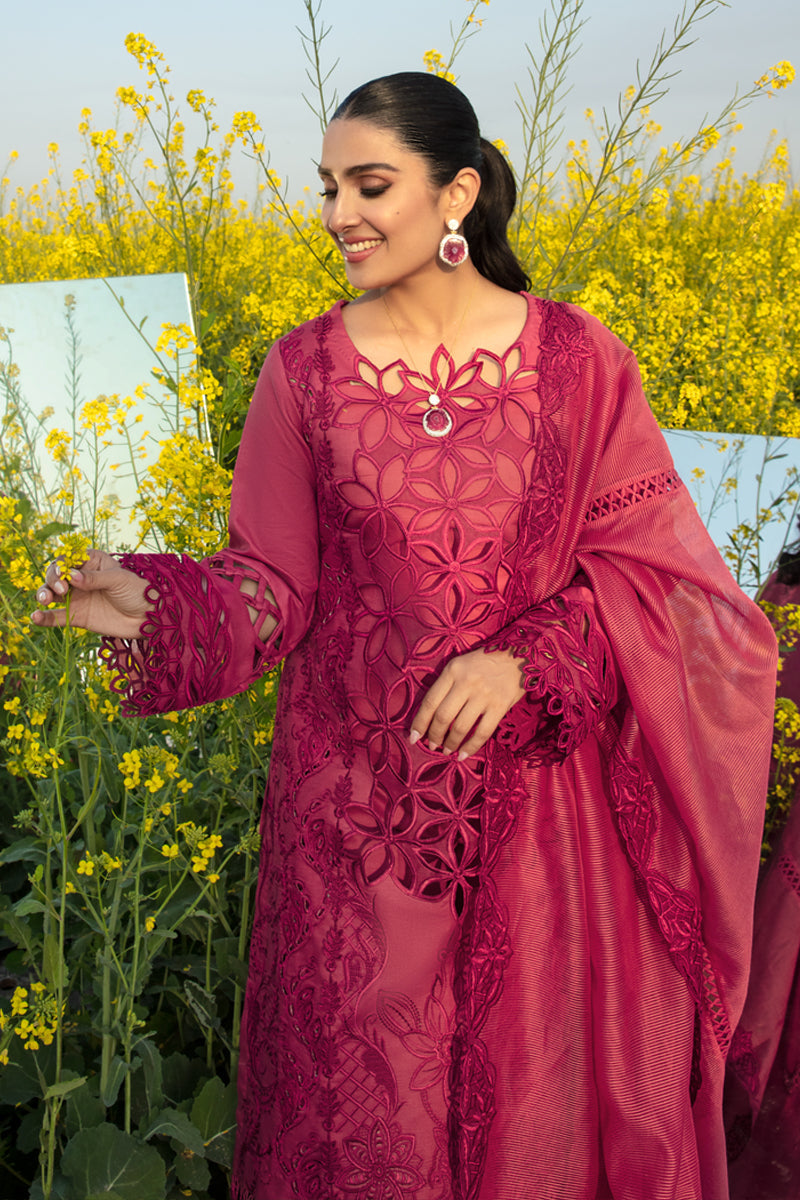 Rangrasiya | Premium Collection 24 | MAYA