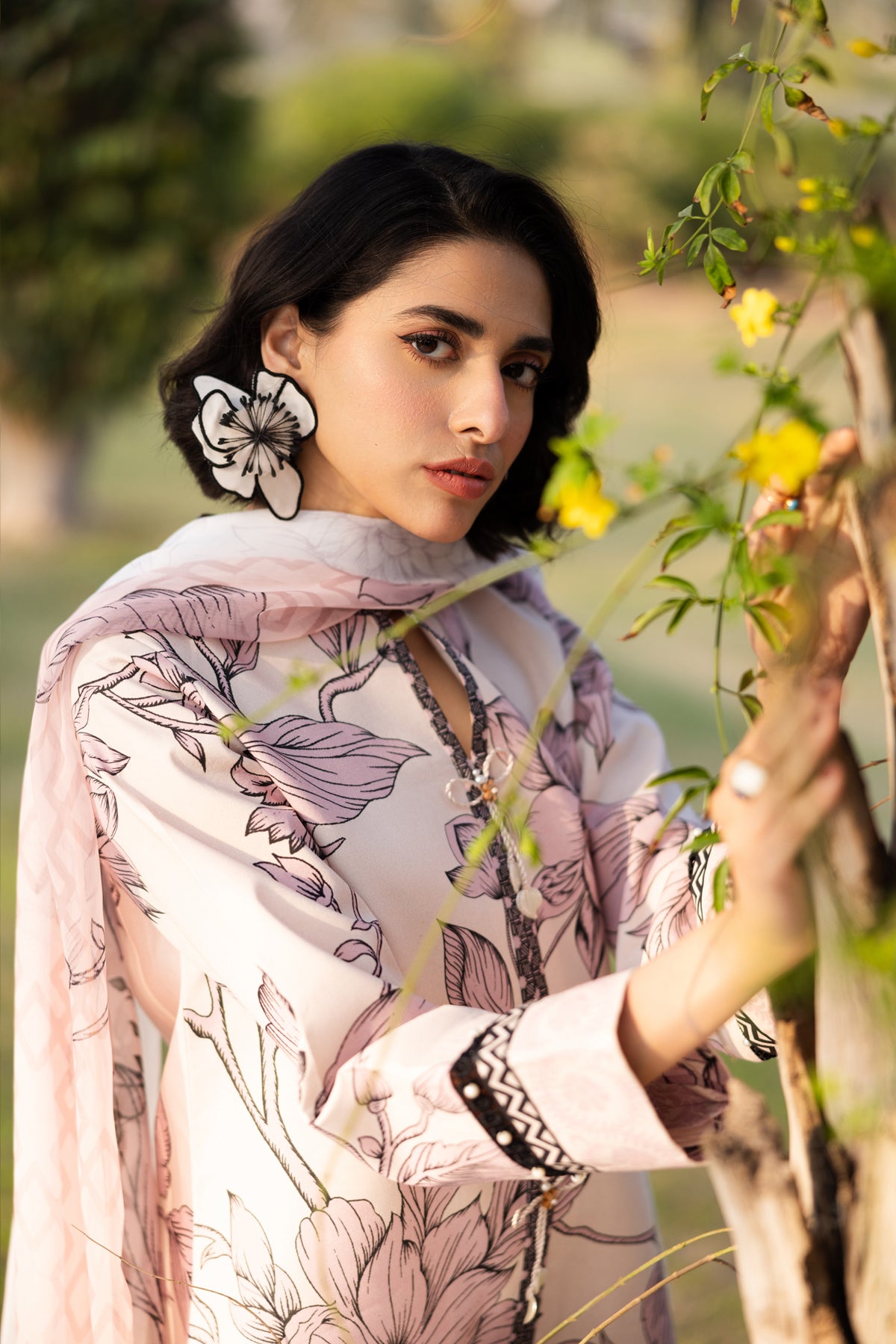 Alizeh | Sheen Lawn Prints 25 | AF-PL-6036-Rafaello