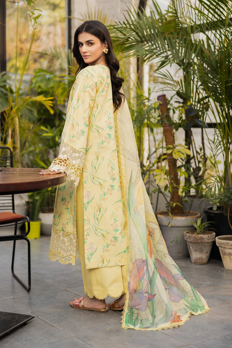 Rangrasiya | Lifestyle Summer Edit 25 | Olivine