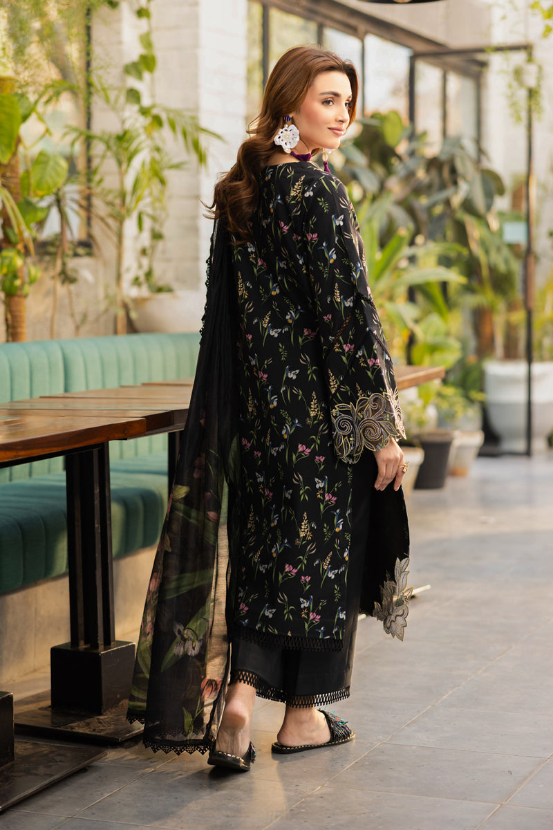 Rangrasiya | Lifestyle Summer Edit 25 | Midnight