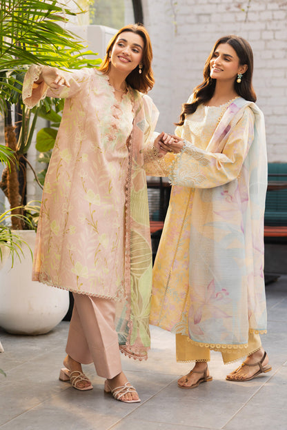 Rangrasiya | Lifestyle Summer Edit 25 | Hazel