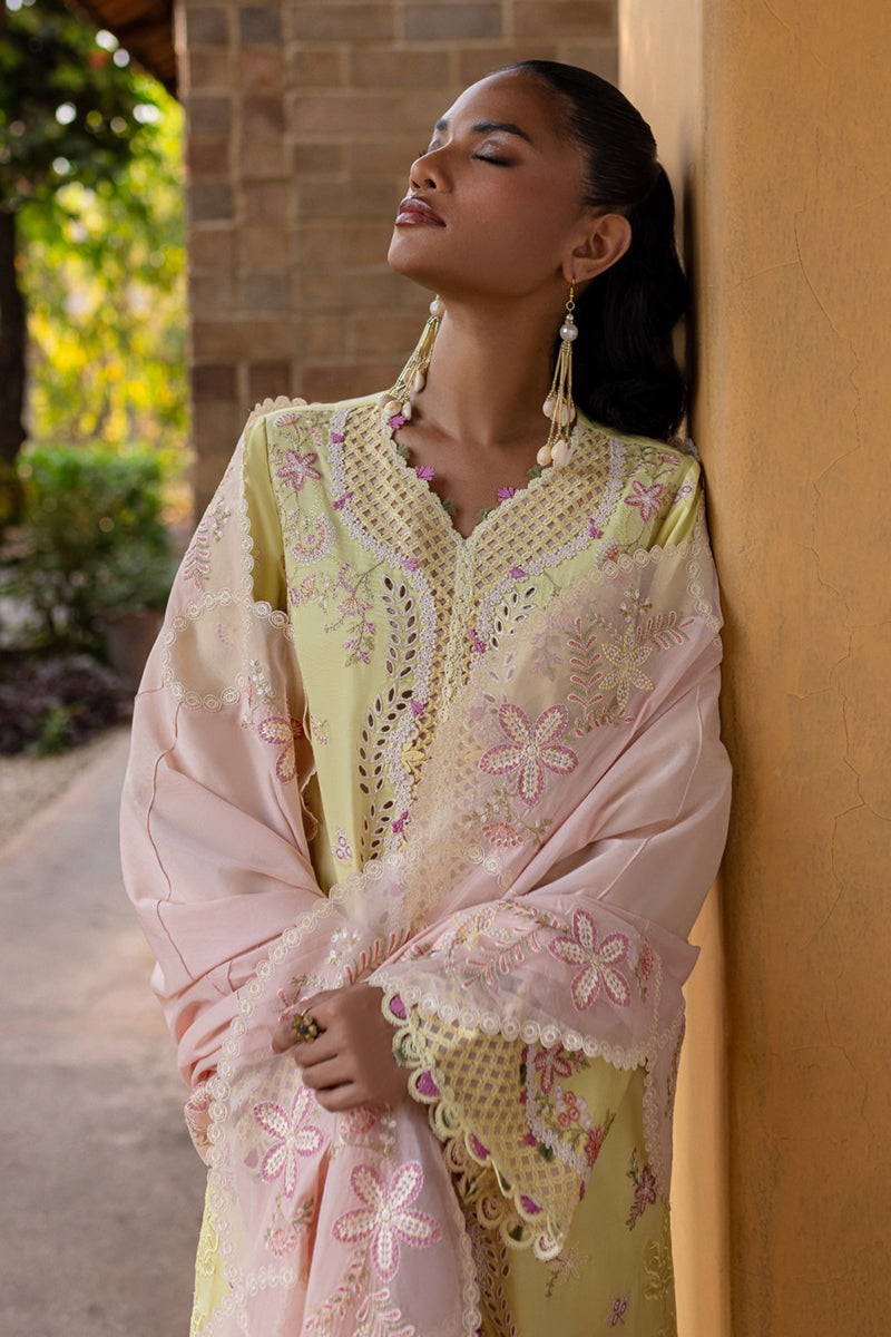 Qalamkar | Q Line Lawn 25 | QM-11 Ina