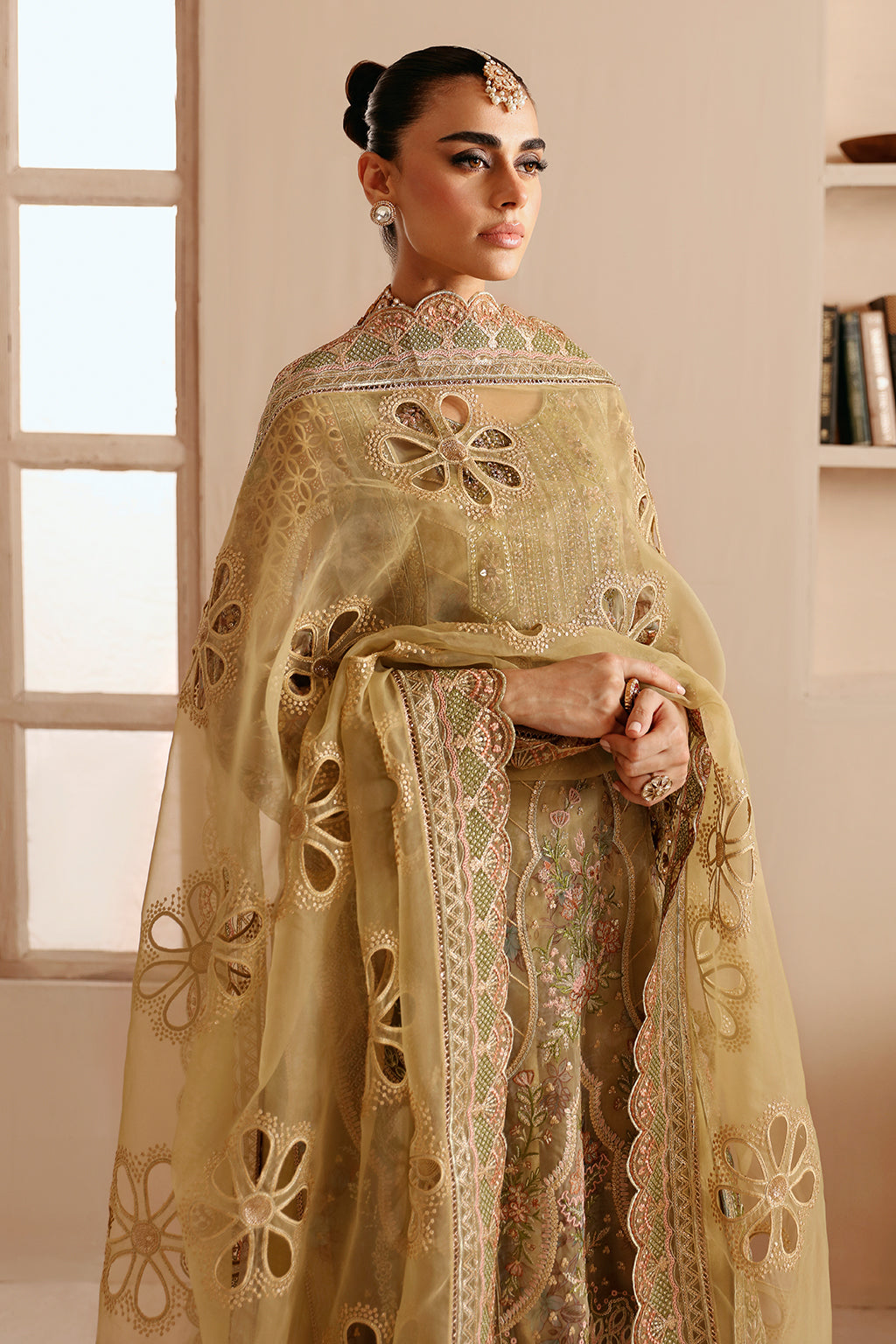 Ramsha | Festive Collection 24 | E-205