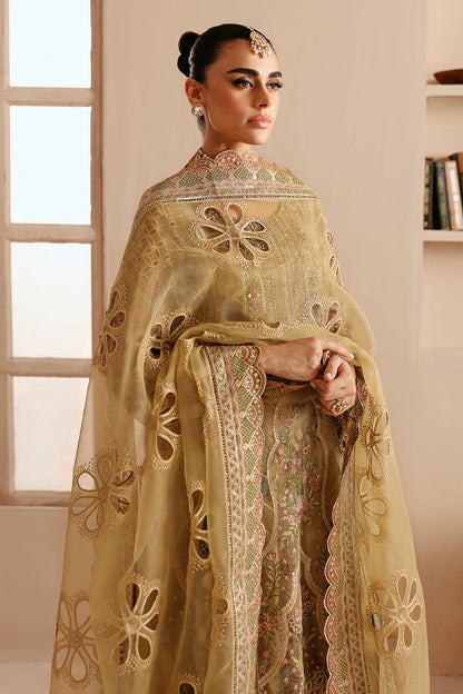Ramsha | Festive Collection 24 | E-205