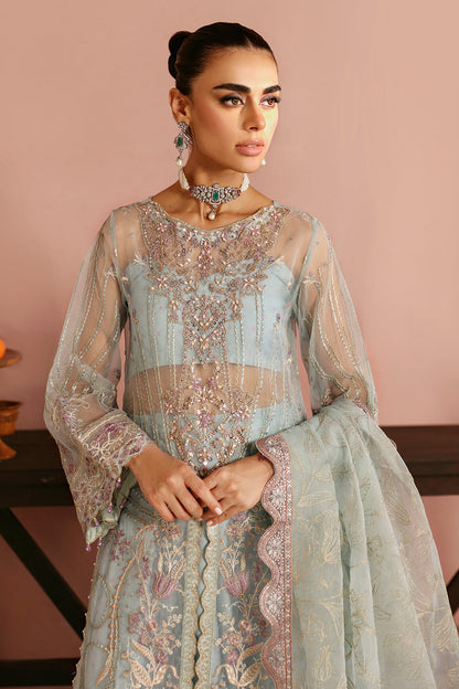Ramsha | Festive Collection 24 | E-204