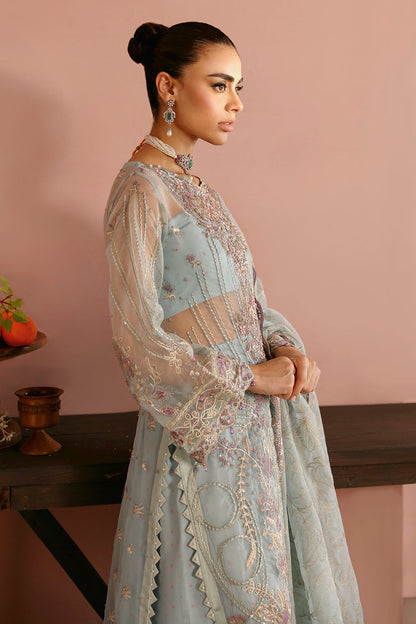 Ramsha | Festive Collection 24 | E-204