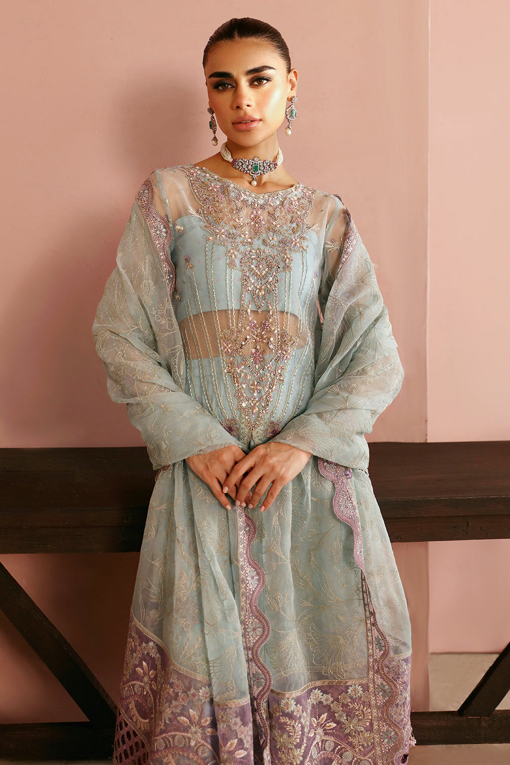 Ramsha | Festive Collection 24 | E-204