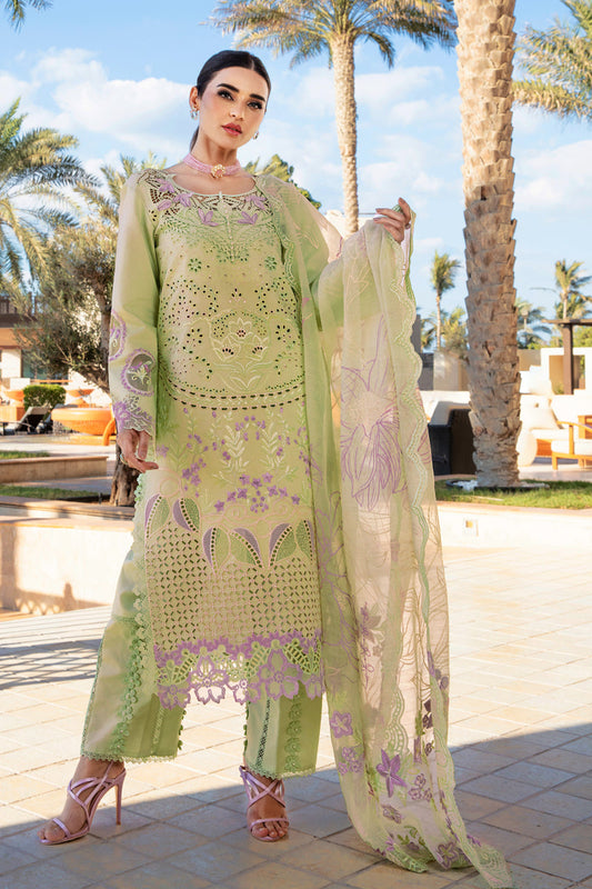Rangrasiya | Premium Summer Lawn 25 | Ayleen