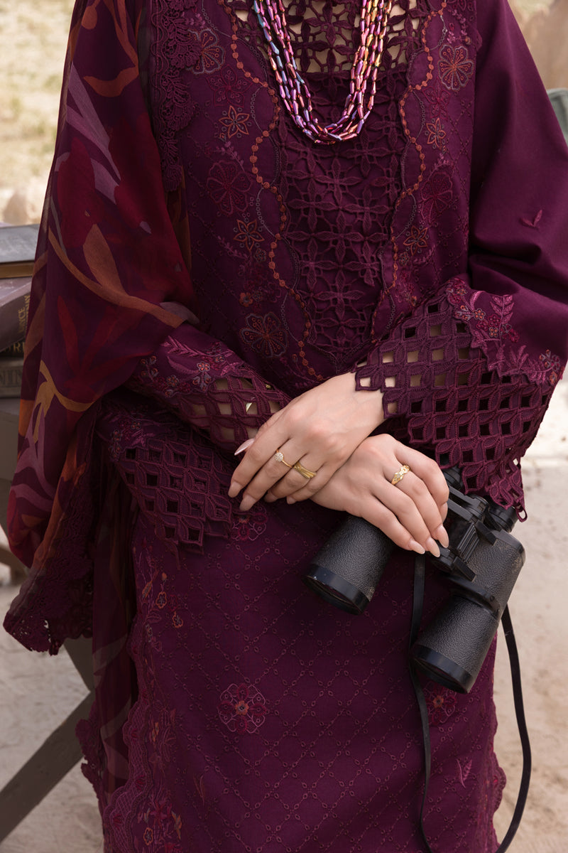 Rangrasiya | Premium Eid Edit 25 | Amyra