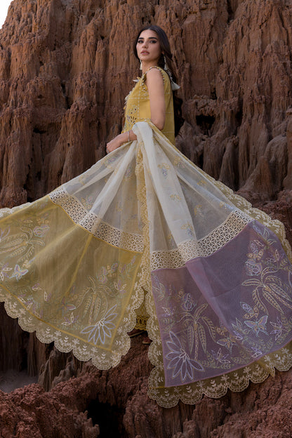 Rangrasiya | Premium Eid Edit 25 | Nadia