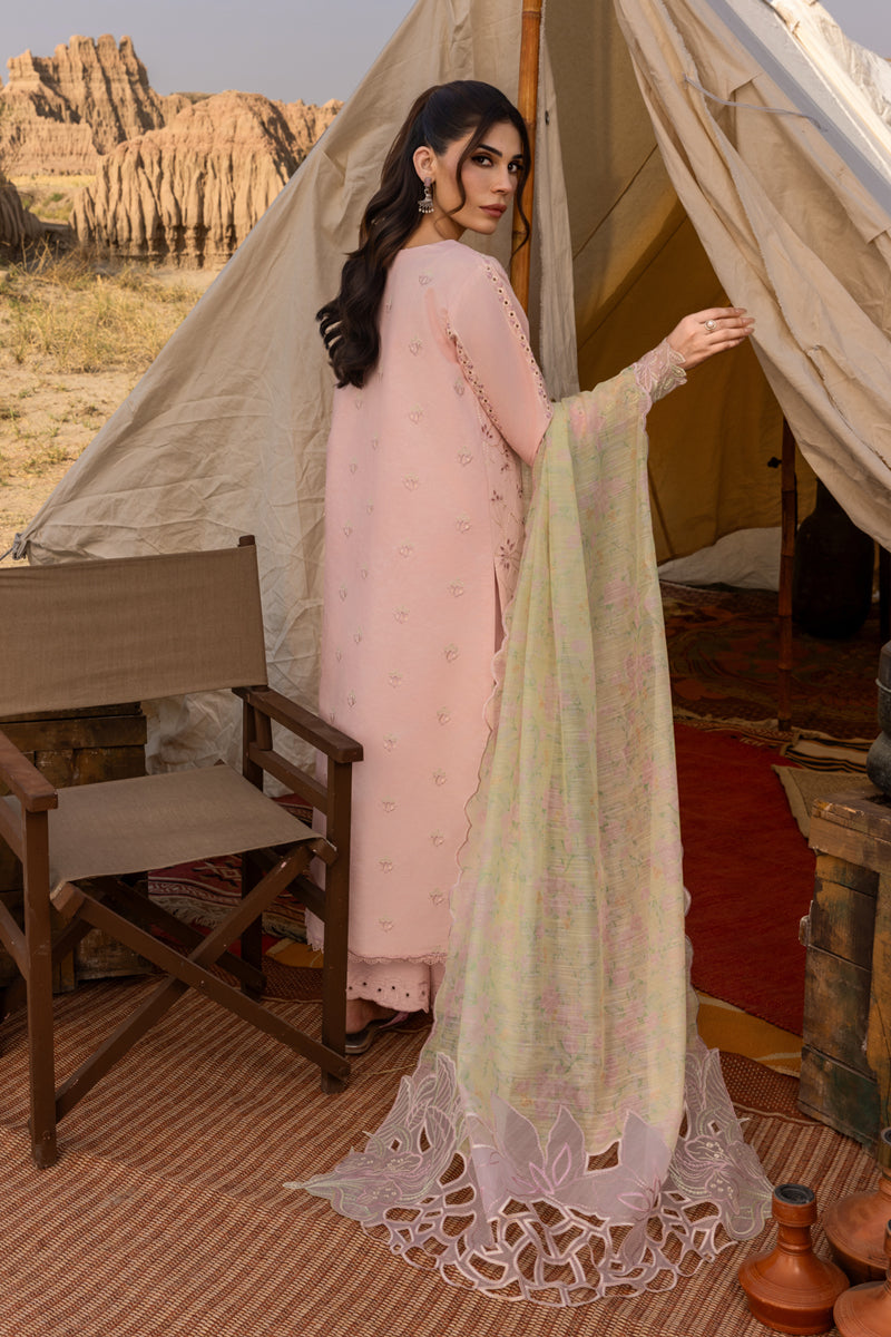 Rangrasiya | Premium Eid Edit 25 | Nehal